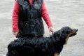 phoca_thumb_l_n_8955