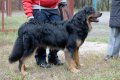 phoca_thumb_l_n_8973