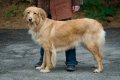 phoca_thumb_l_n_9190