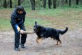 phoca_thumb_l_n_9225