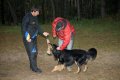 phoca_thumb_l_n_9272