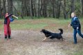 phoca_thumb_l_n_9319