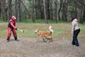 phoca_thumb_l_n_9352