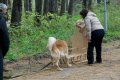 phoca_thumb_l_n_9358