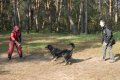 phoca_thumb_l_n_9467