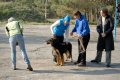 phoca_thumb_l_n_9481