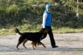 phoca_thumb_l_n_9485