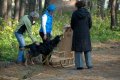 phoca_thumb_l_n_9493
