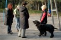 phoca_thumb_l_n_9517