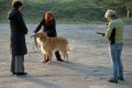 phoca_thumb_l_n_9556