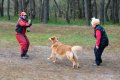 phoca_thumb_l_n_9612