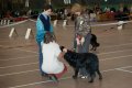 phoca_thumb_l_n_9648