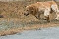 phoca_thumb_m_n_9355