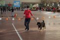 phoca_thumb_l_img_2176