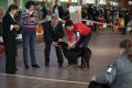 phoca_thumb_l_img_2181