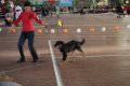 phoca_thumb_l_img_2186