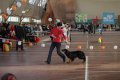 phoca_thumb_l_img_2187
