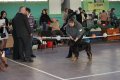 phoca_thumb_l_img_2193