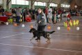 phoca_thumb_l_img_2194
