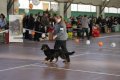 phoca_thumb_l_img_2195