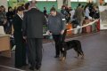 phoca_thumb_l_img_2199