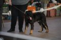 phoca_thumb_l_img_2200