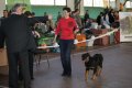 phoca_thumb_l_img_2202