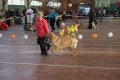 phoca_thumb_l_img_2205