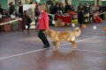 phoca_thumb_l_img_2207