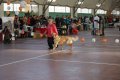 phoca_thumb_l_img_2208