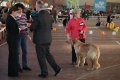 phoca_thumb_l_img_2211