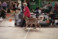 phoca_thumb_l_img_2212