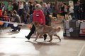 phoca_thumb_l_img_2213