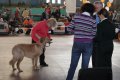 phoca_thumb_l_img_2215