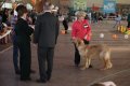phoca_thumb_l_img_2217