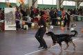 phoca_thumb_l_img_2220