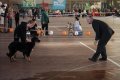 phoca_thumb_l_img_2226