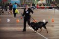 phoca_thumb_l_img_2228