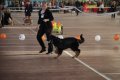 phoca_thumb_l_img_2234