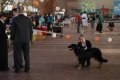 phoca_thumb_l_img_2236