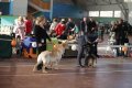 phoca_thumb_l_img_2243