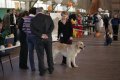 phoca_thumb_l_img_2253