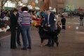 phoca_thumb_l_img_2256
