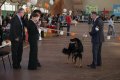 phoca_thumb_l_img_2258