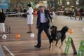 phoca_thumb_l_img_2260