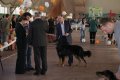 phoca_thumb_l_img_2263