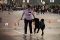 phoca_thumb_l_img_2269