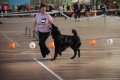 phoca_thumb_l_img_2271
