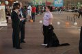phoca_thumb_l_img_2272