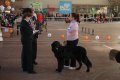 phoca_thumb_l_img_2273